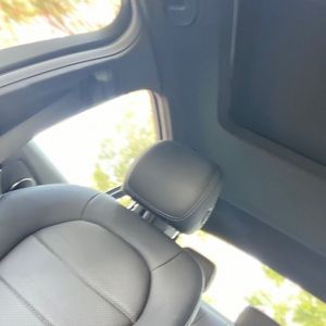 Meet your Posher, Troy